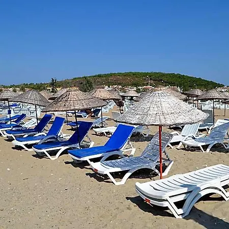 Mulka 2* Ayvalı